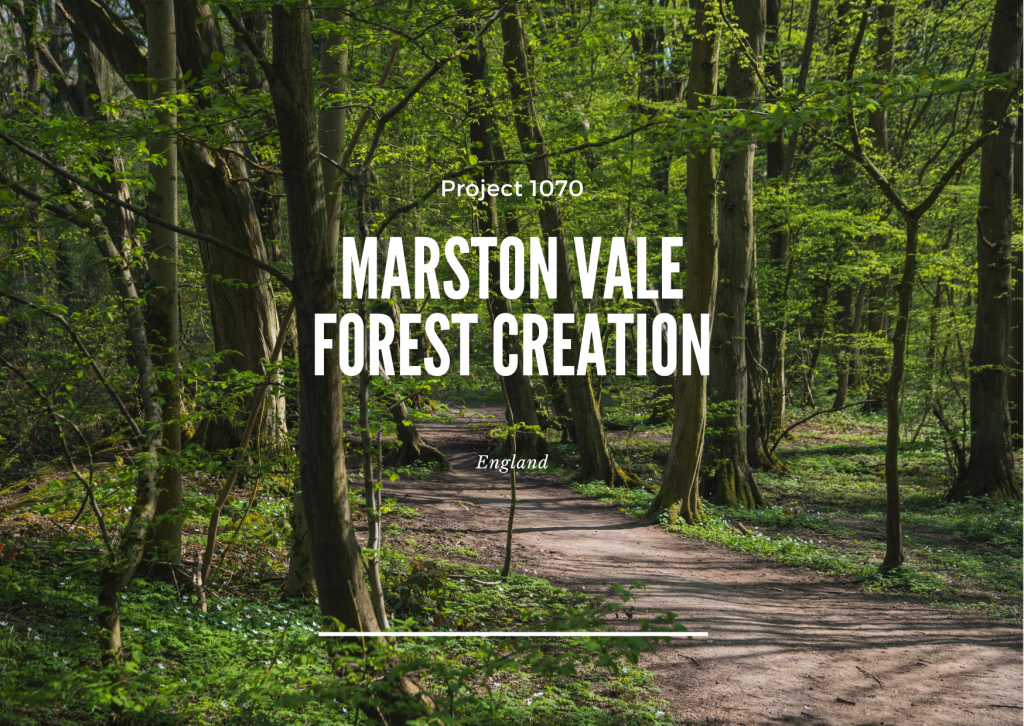 Project 1070 - Marston Vale Forest Creation - Image 2