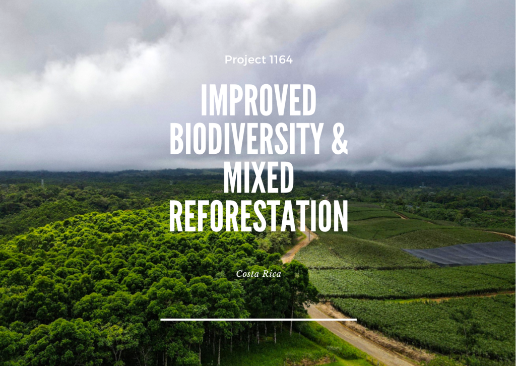 Project 1164 - Improved Biodiversity & Mixed Reforestation - Image 2