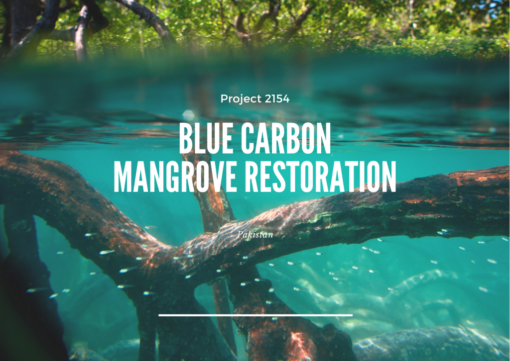 Project 2154 - Blue Carbon Mangrove Restoration - Image 3